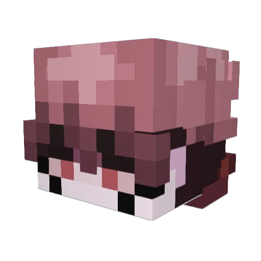 fnz09 Minecraft avatar head, 3D render