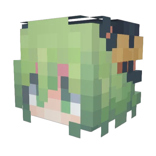 foarfece Minecraft avatar head, 3D render