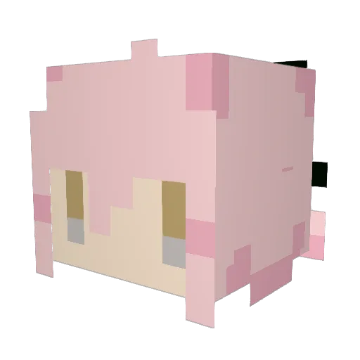focku Minecraft avatar head, 3D render