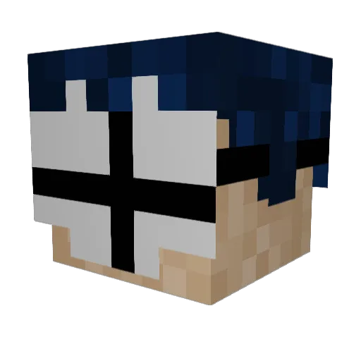 focus14 Minecraft avatar head, 3D render