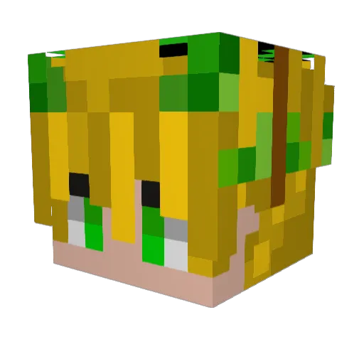 focus1rs Minecraft avatar head, 3D render