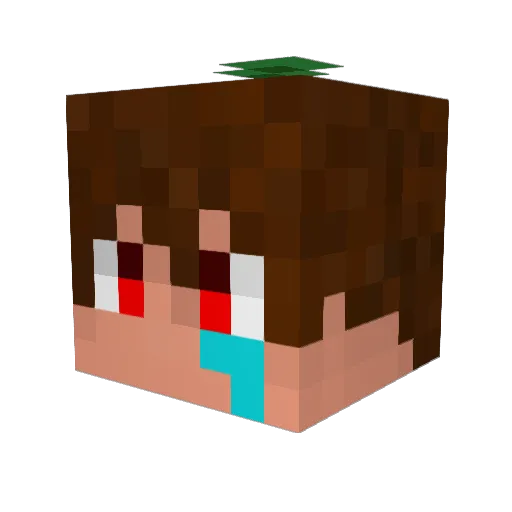 fodalhe Minecraft avatar head, 3D render