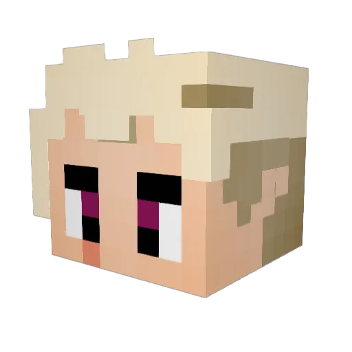 fodrigoraro Minecraft avatar head, 3D render