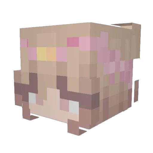 foelia Minecraft avatar head, 3D render