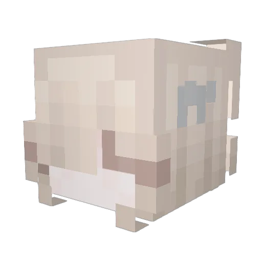 foeshka Minecraft avatar head, 3D render