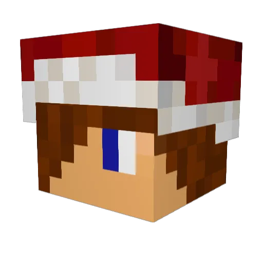 foesti Minecraft avatar head, 3D render