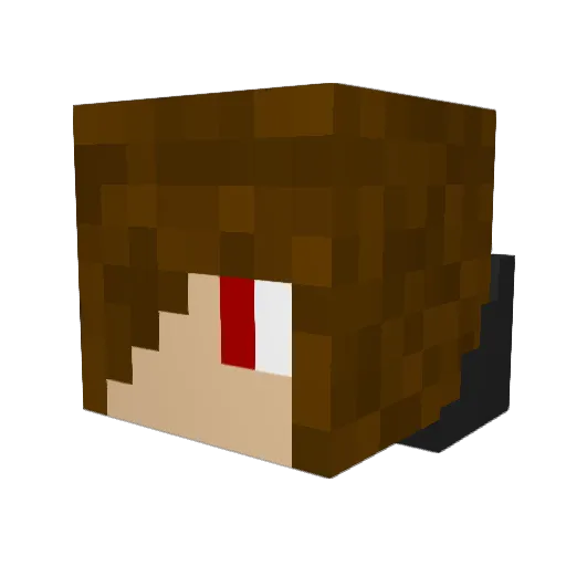fog1014 Minecraft avatar head, 3D render