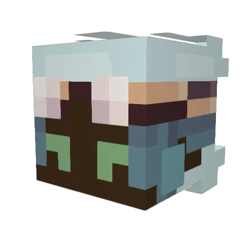 fogggyyy Minecraft avatar head, 3D render
