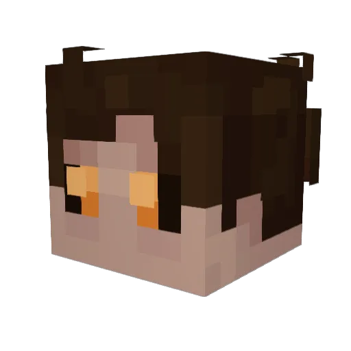 foggydawg Minecraft avatar head, 3D render