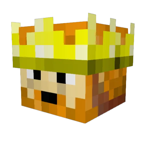 fogoman123 Minecraft avatar head, 3D render