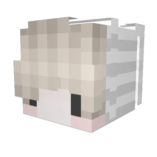 foinks Minecraft avatar head, 3D render