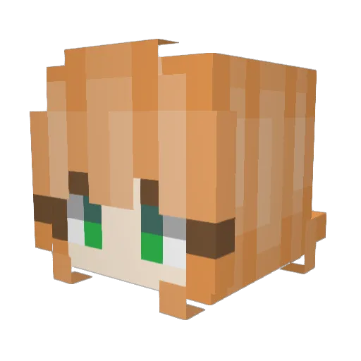 foitney Minecraft avatar head, 3D render