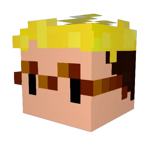 foitt Minecraft avatar head, 3D render