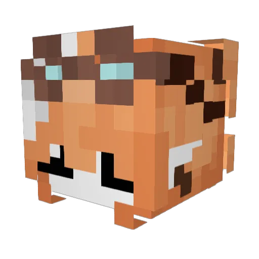 foki_f Minecraft avatar head, 3D render