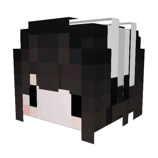 folern_ Minecraft avatar head, 3D render