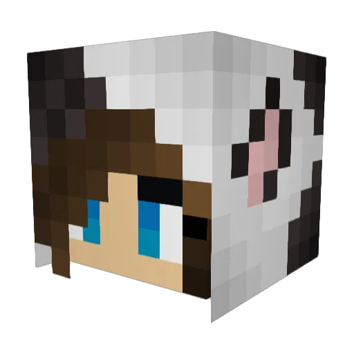 foleycow Minecraft avatar head, 3D render