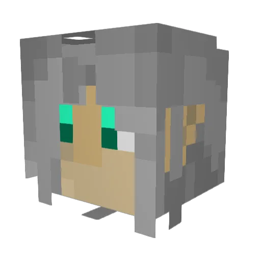 folkk15566 Minecraft avatar head, 3D render