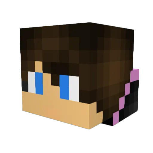 follarme Minecraft avatar head, 3D render