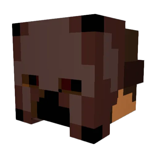 followmeCLOSELY Minecraft avatar head, 3D render