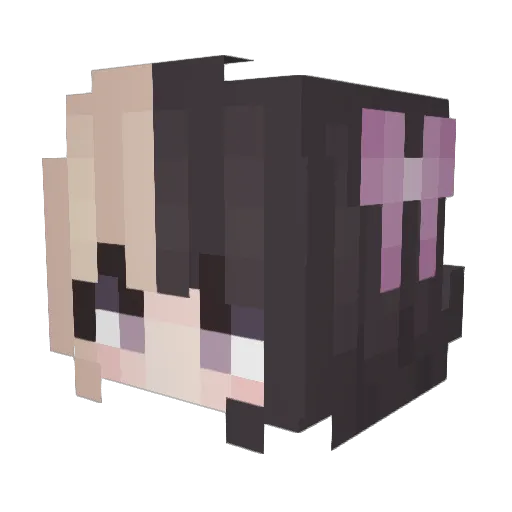 followzes Minecraft avatar head, 3D render