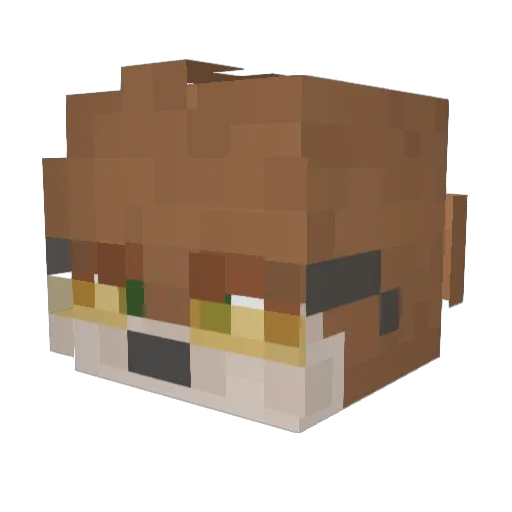 follzyy Minecraft avatar head, 3D render