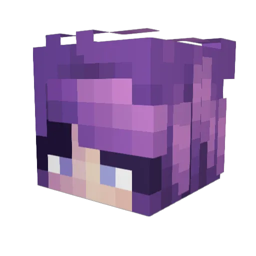 folwar1998 Minecraft avatar head, 3D render