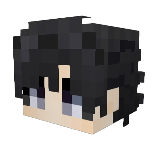 fomg23333 Minecraft avatar head, 3D render