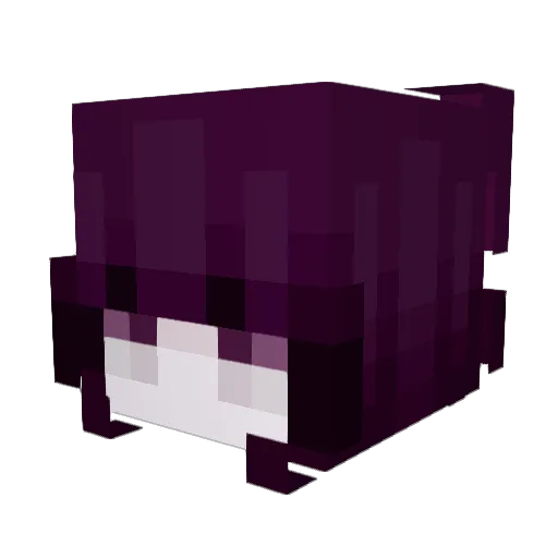 fomit Minecraft avatar head, 3D render