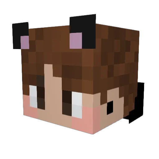 fomster Minecraft avatar head, 3D render