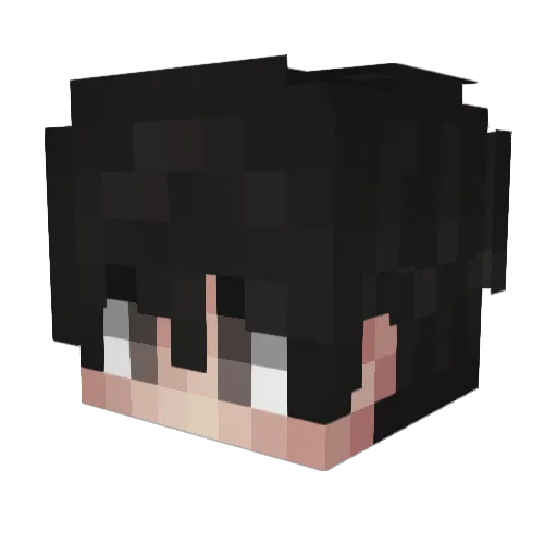 fona Minecraft avatar head, 3D render