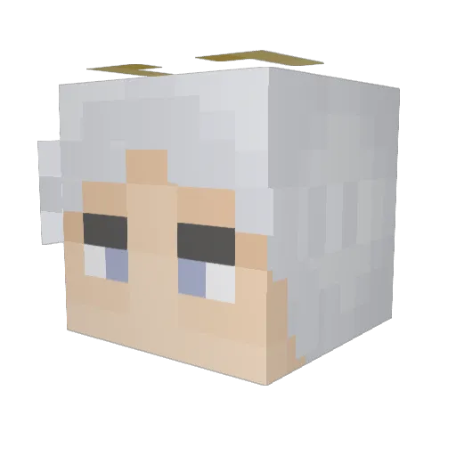 fonkerton Minecraft avatar head, 3D render