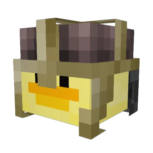 fonsecoide Minecraft avatar head, 3D render