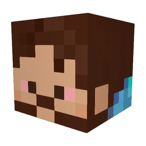fontcena Minecraft avatar head, 3D render