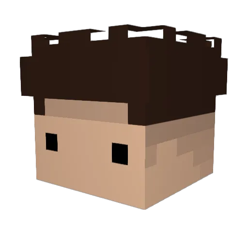 fonyk Minecraft avatar head, 3D render