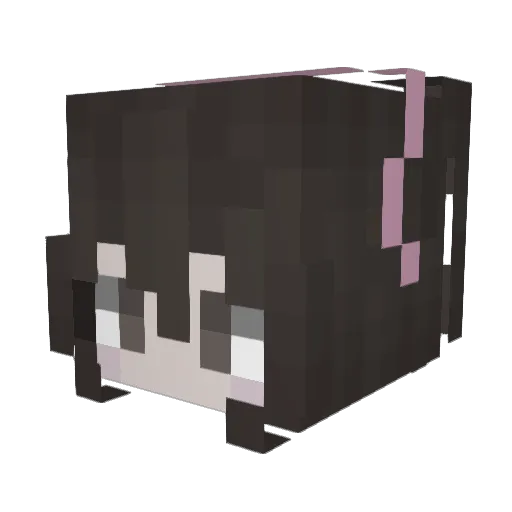 foodie1232578 Minecraft avatar head, 3D render
