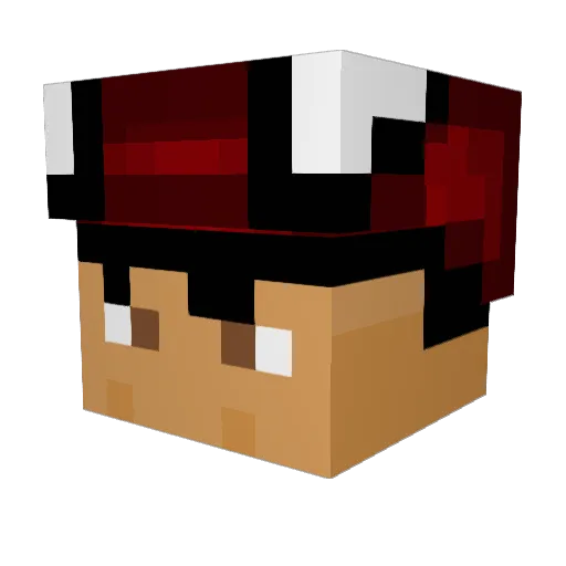 foodpls_ Minecraft avatar head, 3D render