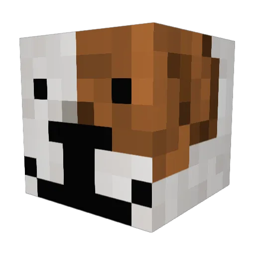 foodwad Minecraft avatar head, 3D render