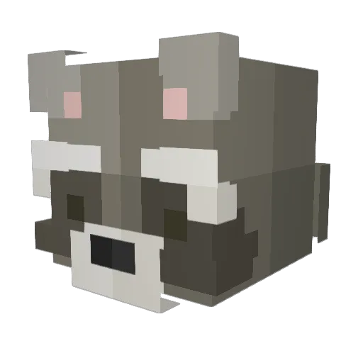 fooleaten Minecraft avatar head, 3D render
