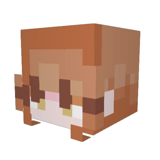 foolish Minecraft avatar head, 3D render