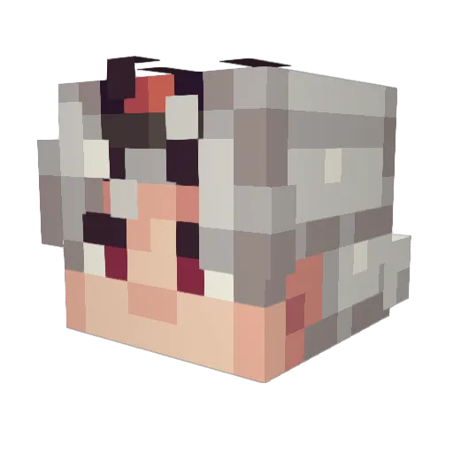 fooooooy Minecraft avatar head, 3D render