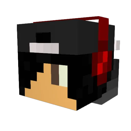 fooswashere Minecraft avatar head, 3D render