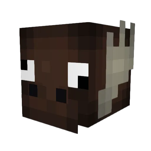 footaholic Minecraft avatar head, 3D render