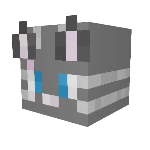 footlover221 Minecraft avatar head, 3D render
