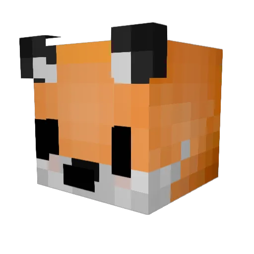 fooxyyy Minecraft avatar head, 3D render