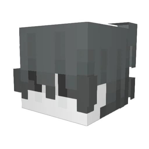 forNorth Minecraft avatar head, 3D render
