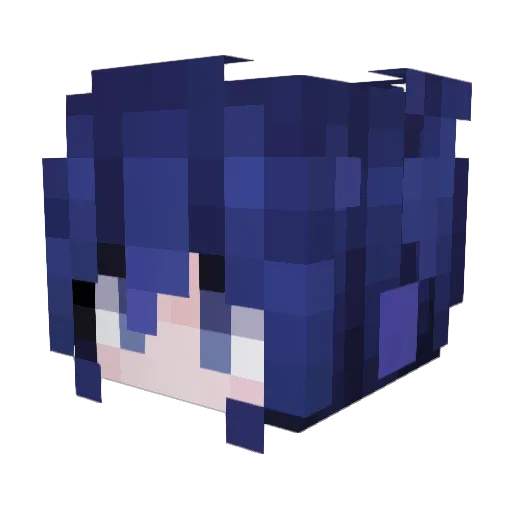 for_freedom Minecraft avatar head, 3D render