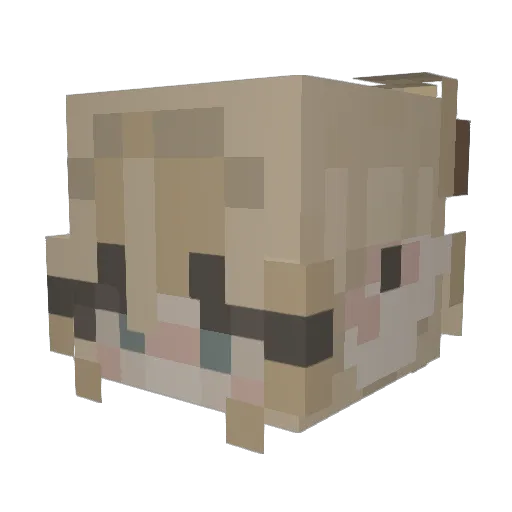 foragingbugs Minecraft avatar head, 3D render
