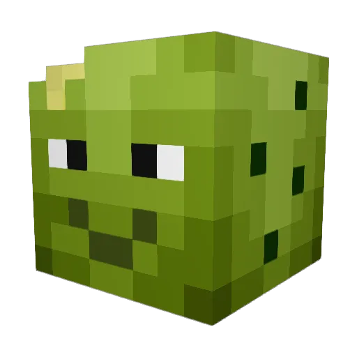 forawhile Minecraft avatar head, 3D render