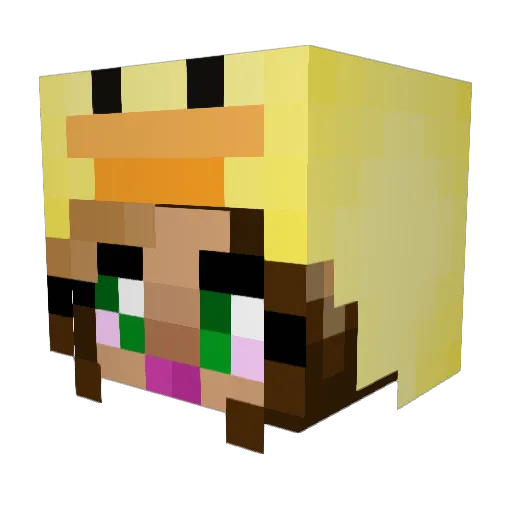 forbiddenbarcode Minecraft avatar head, 3D render