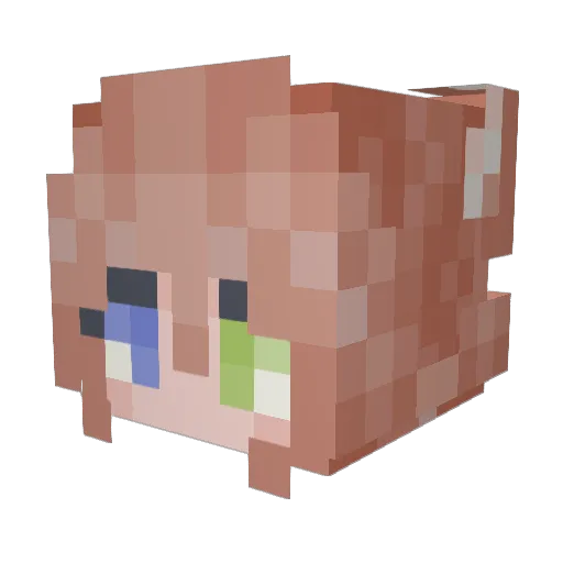 forbiehundie Minecraft avatar head, 3D render